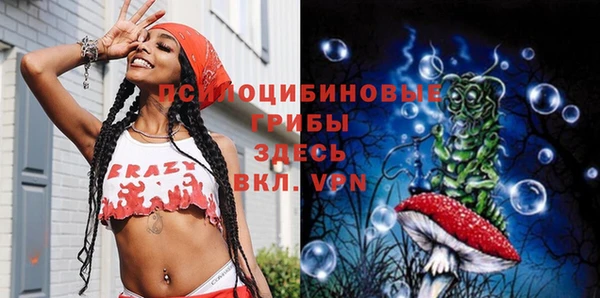 стаф Верхний Тагил