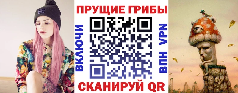 Купить  Заринск  Галлюциногенные грибы GOLDEN TEACHER 